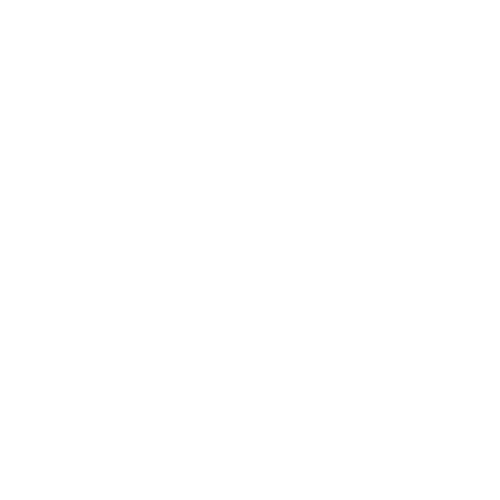 Cleaninglogo